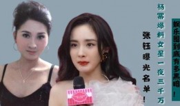 娱乐圈女明星有多脏 黑暗爆料在线观看免费高清,揭秘黑暗爆料背后的真相