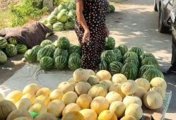 热点吃瓜,吃瓜群众如何解读明星事件